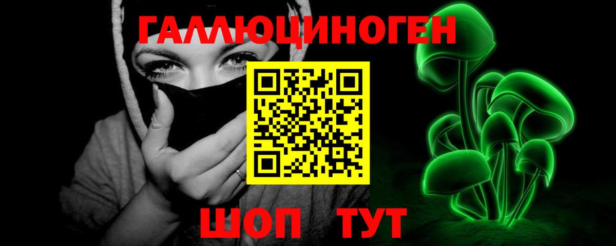 Псилоцибиновые грибы Psilocybe  Вход с VPN  Полевской 